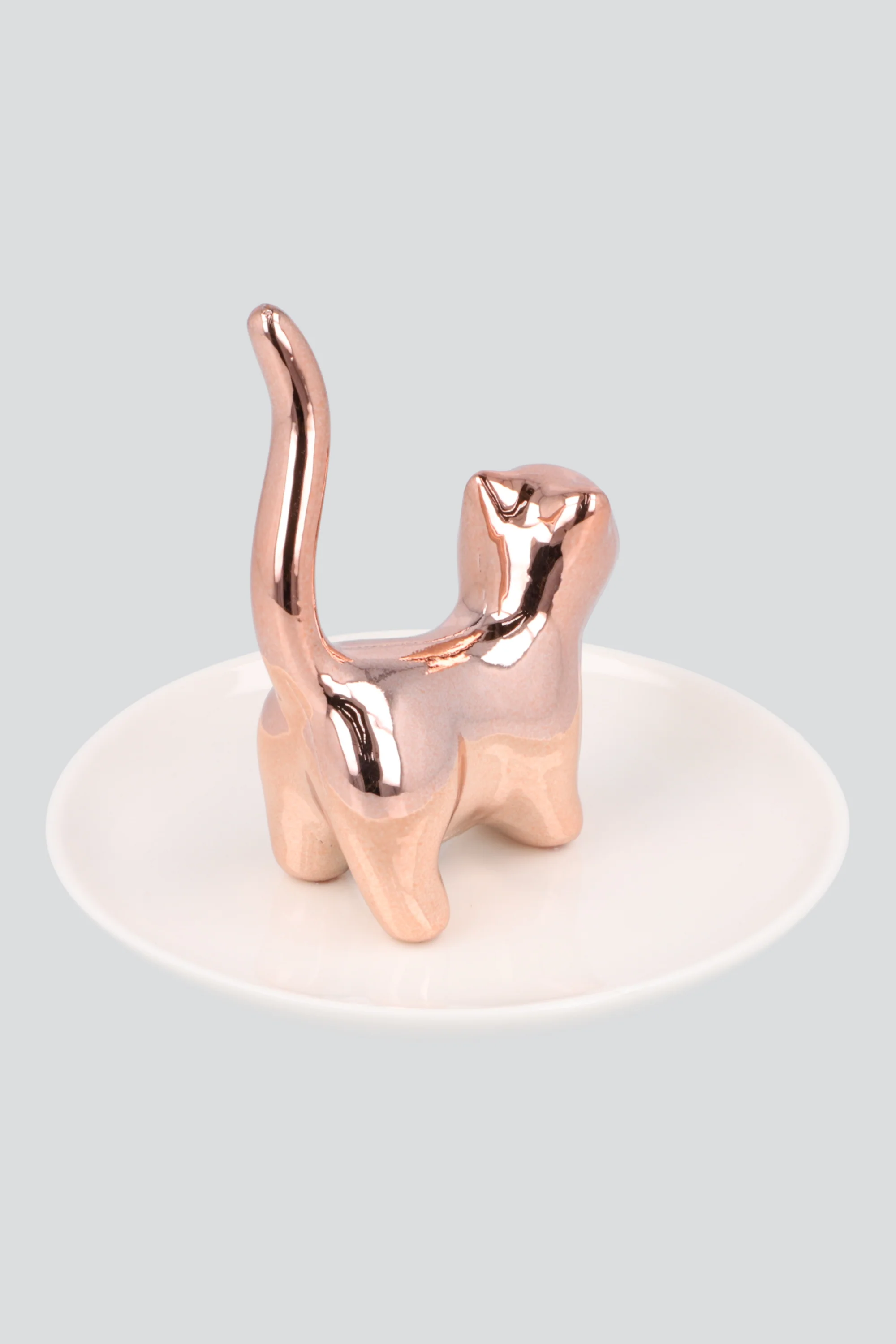 alhajero gatito - Image 2