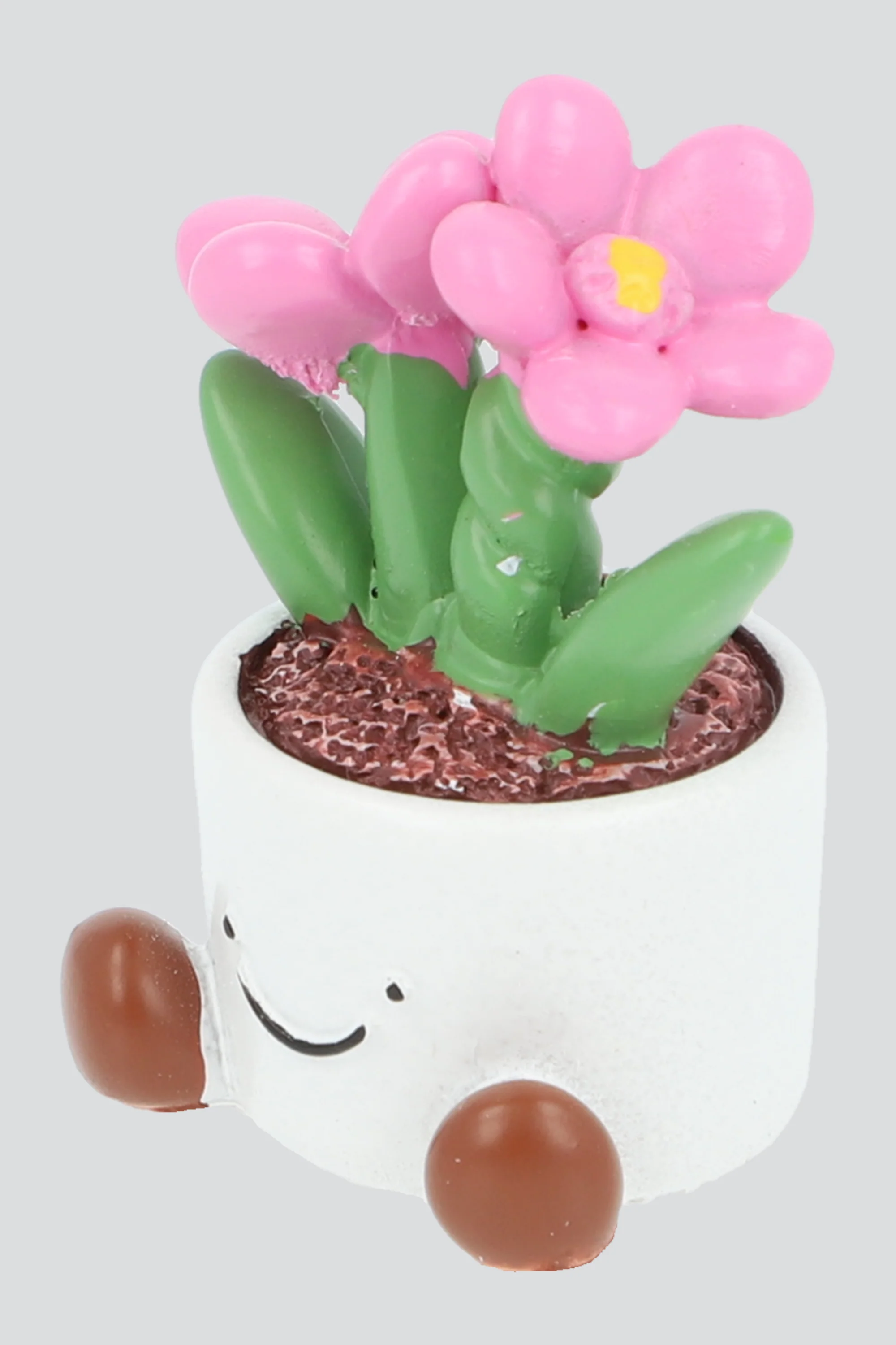 Iman plantita - Image 2